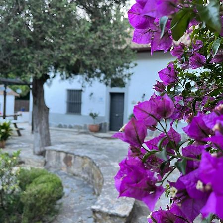 Complejo Rural Huerta Grande Pensionat Algeciras Eksteriør billede
